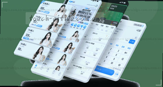 在哪里可以找到访问入口？
